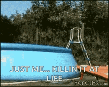 funny picture