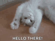 funny picture
