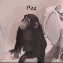 funny picture