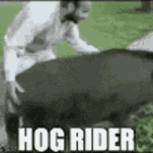 funny picture