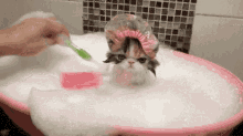 funny picture