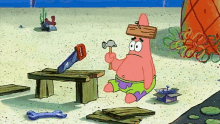 funny picture