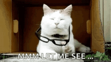 funny picture