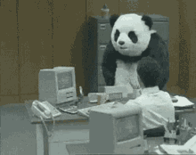 funny picture