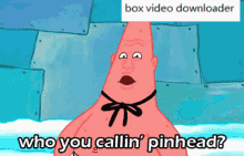funny picture