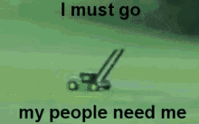 funny picture