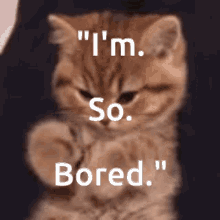 funny picture