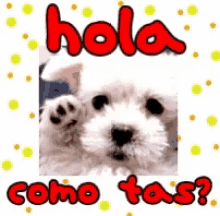 funny picture