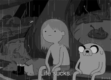 funny picture