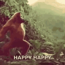 funny picture