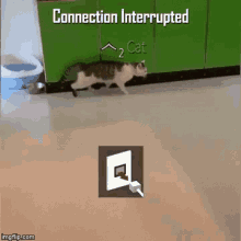 funny picture