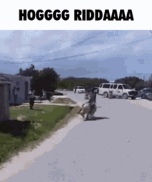 funny picture