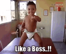 funny picture