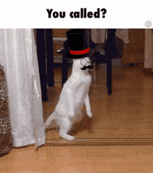 funny picture
