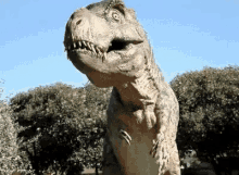 funny picture
