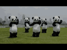 funny picture