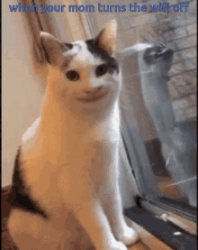 funny picture