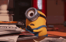 funny picture