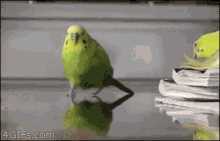 funny picture