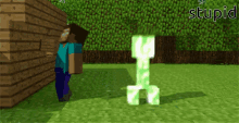 funny picture