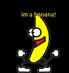 funny picture