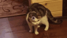 funny picture