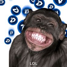 funny picture