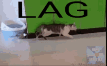 funny picture
