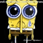funny picture