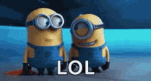 funny picture
