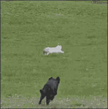 funny picture