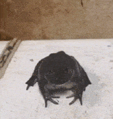 funny picture