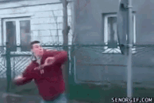funny picture
