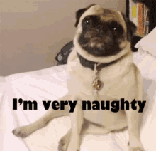 funny picture