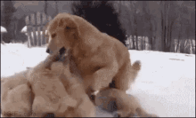 funny picture