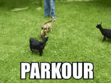 funny picture