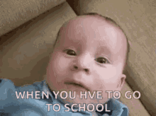 funny picture