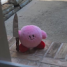 ninkapoop