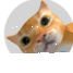 catwayroblox