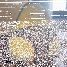 M0jon_3l4gu4cat3